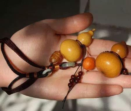 葫芦几月份种最好，文玩葫芦几月份种植（家庭如何种植手捻葫芦）