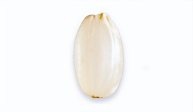 hoshi英语是什么意思，hoshi.（星网名）（当今最受注目的10款介绍网名）