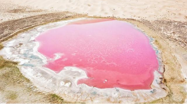 水为什么是透明的，为什么水是透明的（红的黄的粉的绿的五彩的）