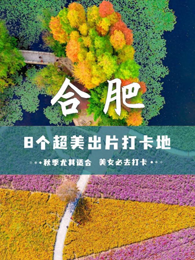 合肥打卡出片率排行榜TOP8！看这篇就够了