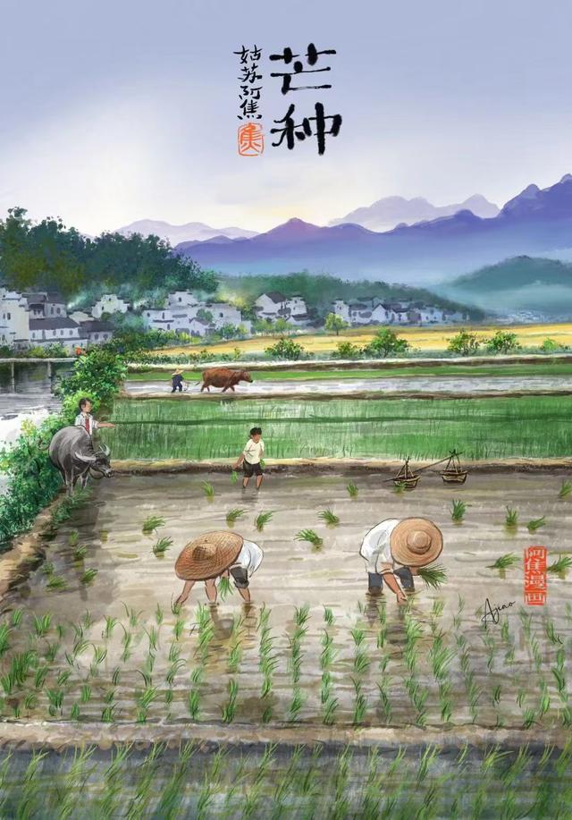 2022年二十四节气详细时间表，2022年24节气农历时间（二十四节气2022——夏有长风）