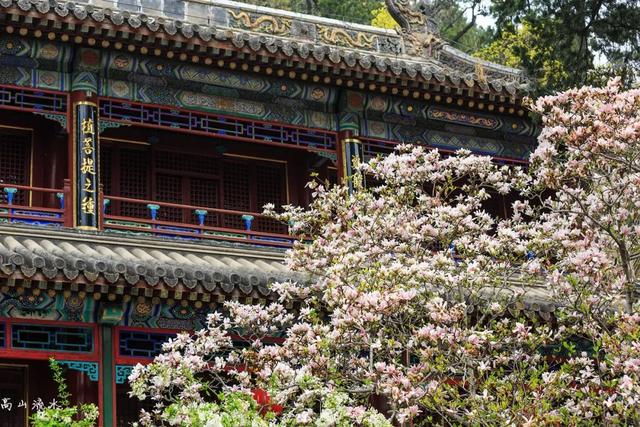 北京风景优美的地方，北京十大最值得去的景点（古寺寻幽、山林品茶）