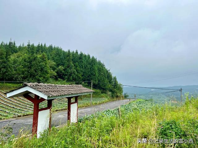 仙女山旅游攻略，重庆旅游景点 仙女山（推荐你去这个免费地方玩）