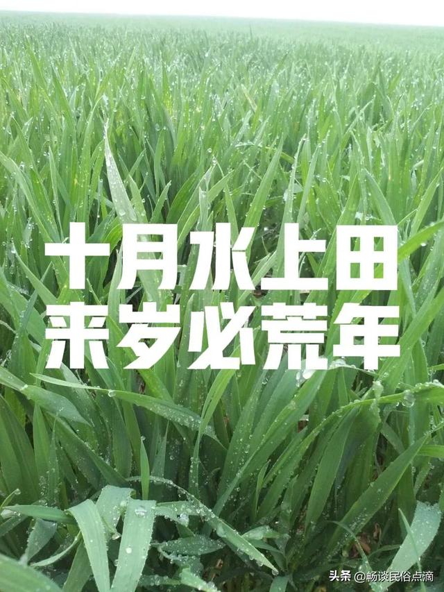 关于下雨的农谚或俗语，关于下雨的农谚或俗语有哪些（农谚：“十月水上田）