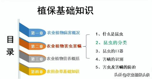 鳞翅目的昆虫有哪些分类，鳞翅目常见昆虫有哪些（第二章、农业植物害虫害螨）