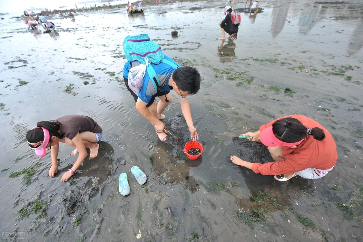 没才艺没口才怎么直播，没才艺主播走的路线