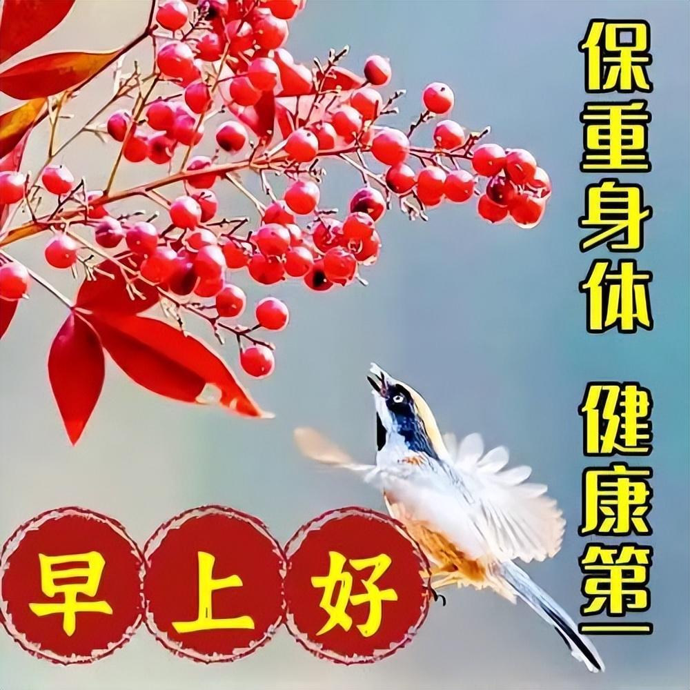 早上好!早晨好!亲爱的朋