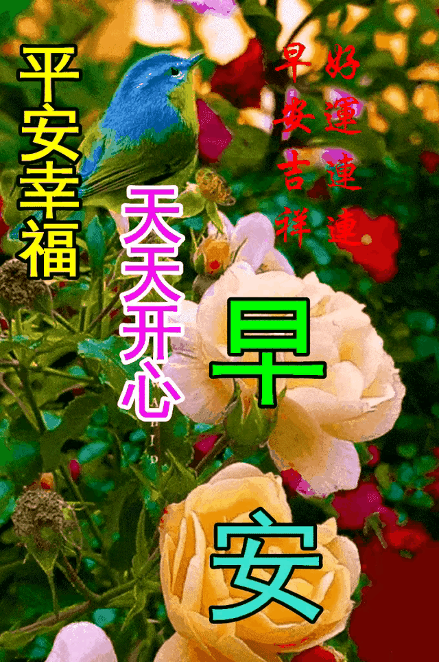 03年属什么生肖，03年属什么（2023年04月03日）