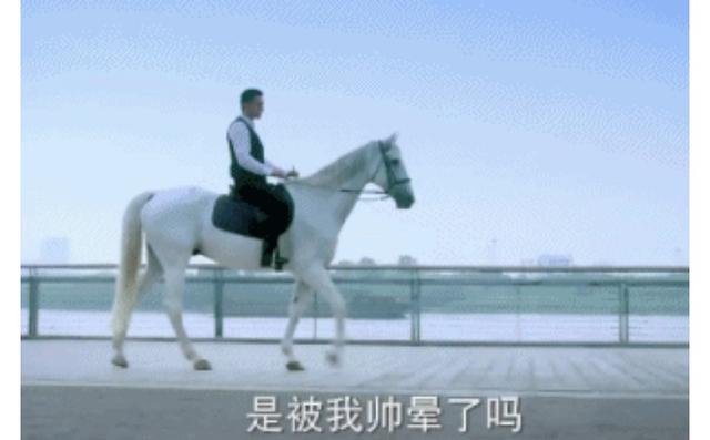 王子用英语怎么说，王子用英文怎么说（“白马王子”可不是white）