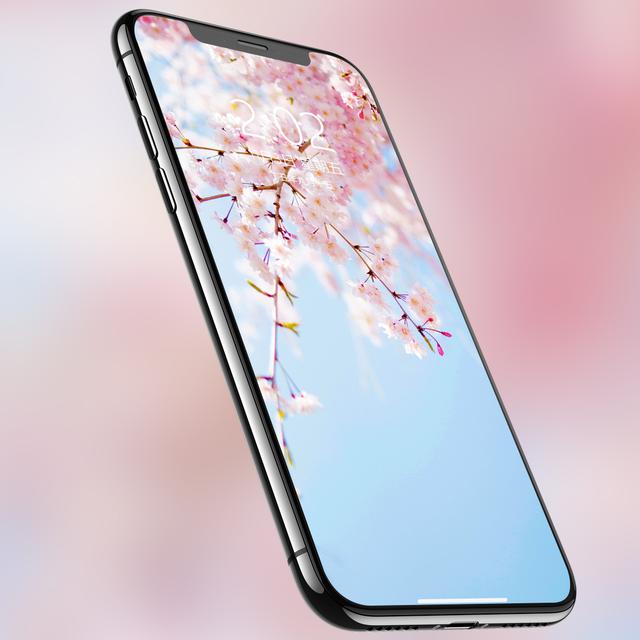 日系粉色唯美意境图片，粉色唯美图片（粉色的东京樱花高清手机壁纸）