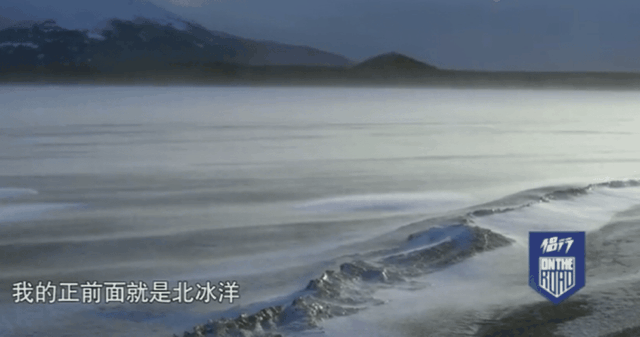 侣行夫妇的记录，中国最牛夫妻：北极求婚