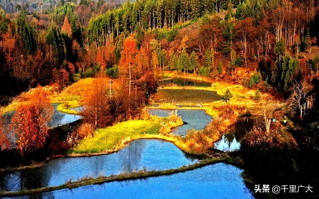 重庆十大冬季旅游景点 重庆旅游必去景点排名，重庆十大冬季旅游景点（去这些地方，邂逅重庆的秋天）