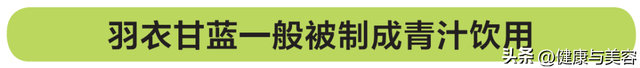 甘蓝菜的营养价值，甘蓝菜的营养价值（详解抗氧化蔬菜羽衣甘蓝）