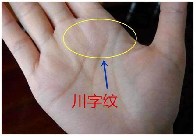 手上的三条线分别代表什么，手纹三条线代表什么意思（老祖宗识人术：“断掌有真假）