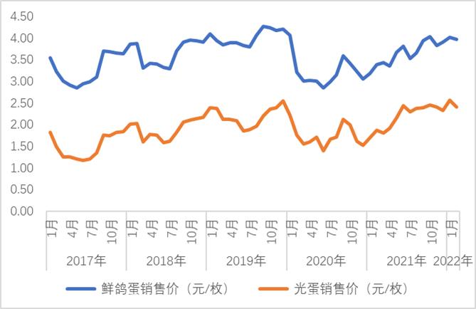 2022年养鸽子前景怎么样，全国鸽产品价格行情走势