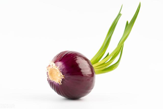 洋葱不能和什么一起吃，洋葱和什么不能一起吃（洋葱发芽长苗了还能吃吗）