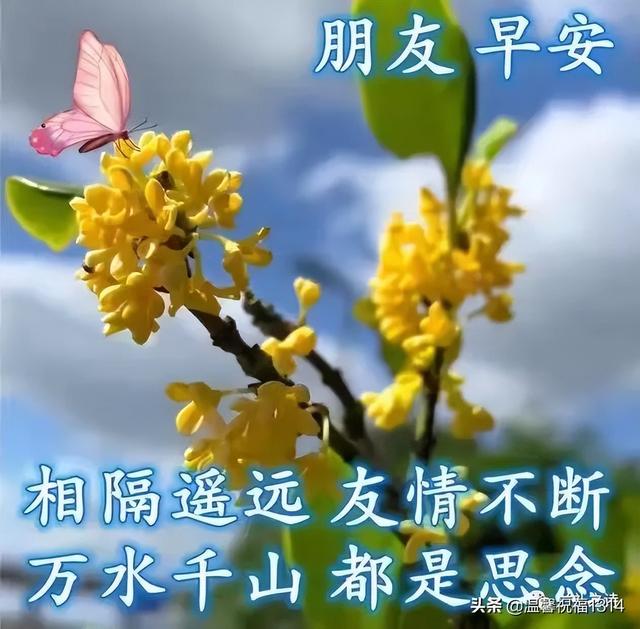 八个字珍惜友情的句子，珍惜友谊的句子八个字（6月8日感谢一成不变的友谊）