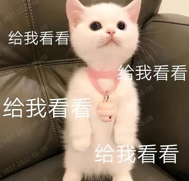 上海政法学院研究生院，2021上海政法学院研究生学费多少钱一年-各专业收费标准（17所院校47个新增硕士点）