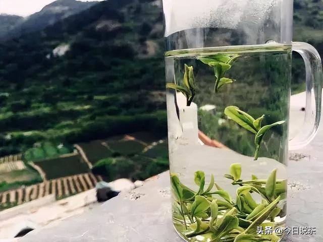 崂山绿茶的功效，崂山绿茶的功效与作用及食用方法（崂山绿茶——中国最北方的绿茶）