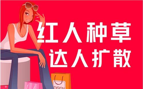 小红书怎么运营(小红书品牌账号运营方案)