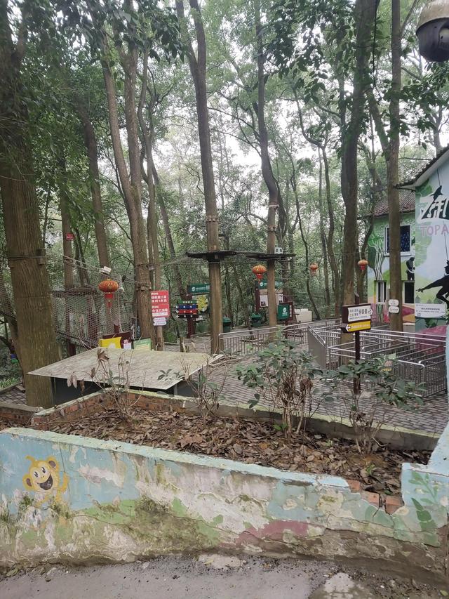 歌乐山森林公园，重庆旅游必去景点（歌乐山国家森林公园）