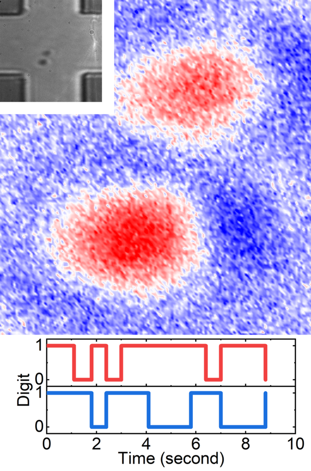数字随机生成器，中国科学家设计真正的随机数产生器（四位数字随机生成器）