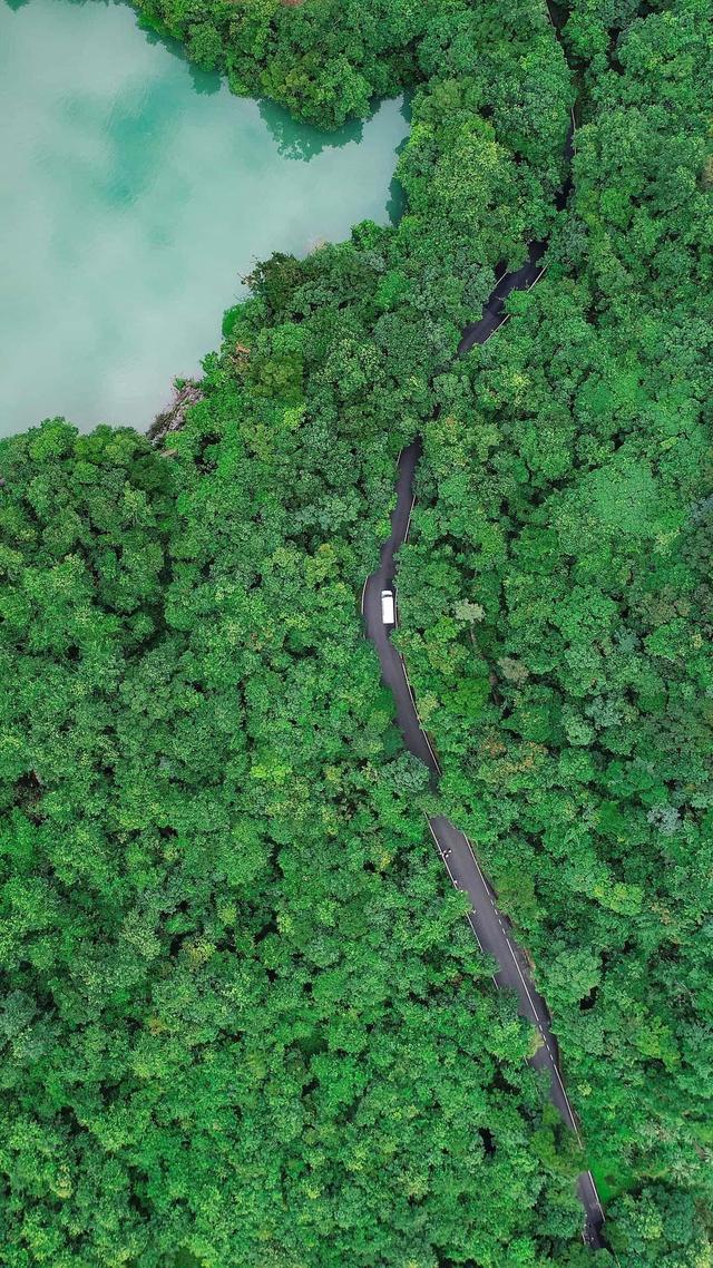 水瓶男和摩羯女，水瓶男摩羯女的爱情（最最宠爱摩羯座的星座）