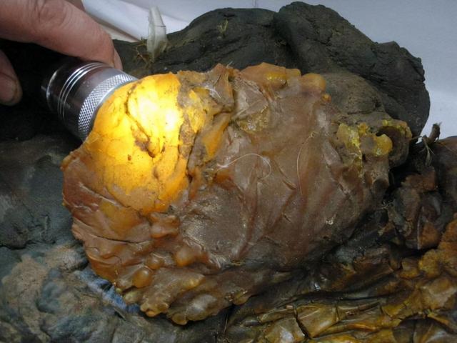 太岁是怎么形成的，化解太岁的三种方法（形成于4万年前、不是植物不是肉）