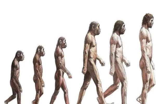 地球上第一个人是谁，地球上第一个人是谁地球2032年灭亡过程图（是由古猿进化而来）
