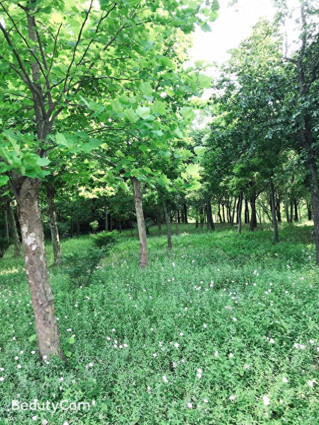 上海湿地公园游记