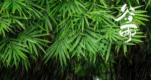 带雨的好名字，带雨的好名字两个字（每一场雨，都有一个好听的名字）