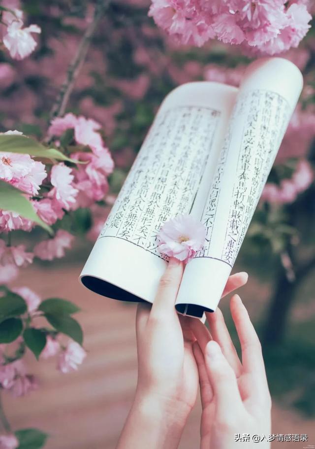 形容笑容的句子，形容治愈系笑容的短句子（是不过时的美丽～～美文摘抄赏析）