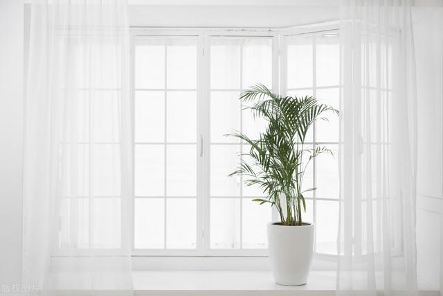 藿香正气水的功效，藿香正气水的功效与作用（中医纠正：气血发散快）