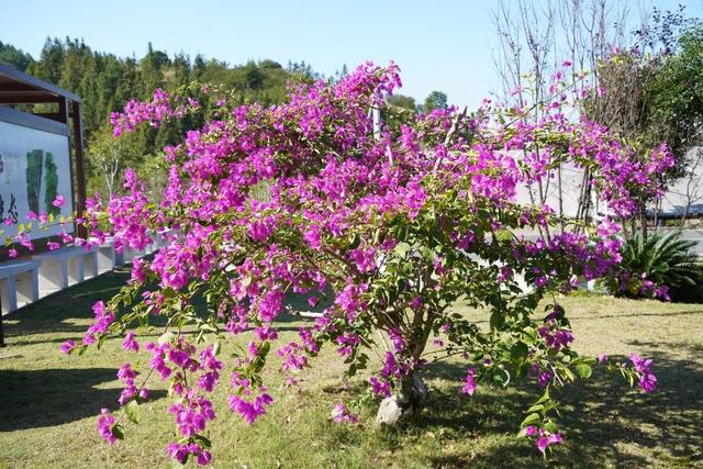 安远三百山，安远三百山温泉度假村（被誉为“武功山第二”）
