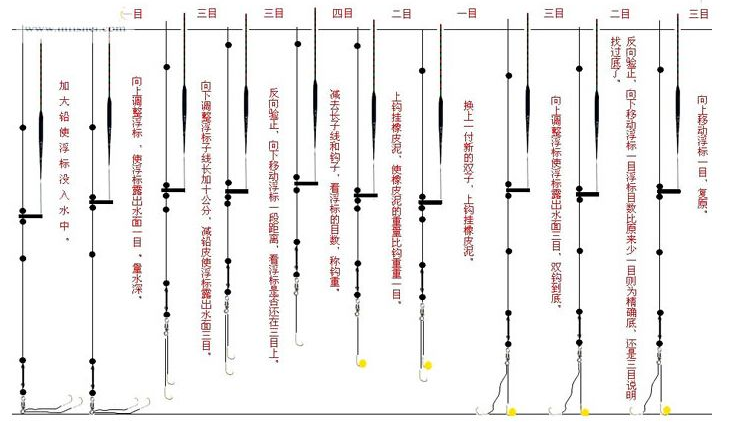 钓鱼老手亲授实战技巧与方法，多年经验浓缩成视频教程，助你轻松上手、收获满满！