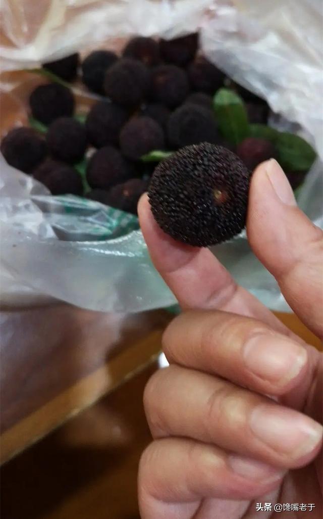 杨梅用洗嘛，杨梅用不用洗（别只会用盐水泡）