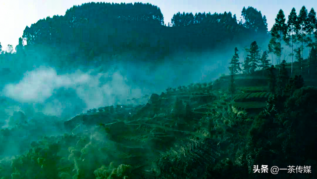 峨眉山竹叶青，竹叶青是如何弯道超车的