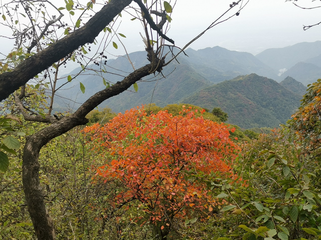 秦岭简单的爬山穿越线路，穿越秦岭子午大环线