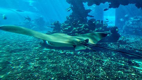 近乎完美的体验，入住报告，三亚维也纳国际酒店