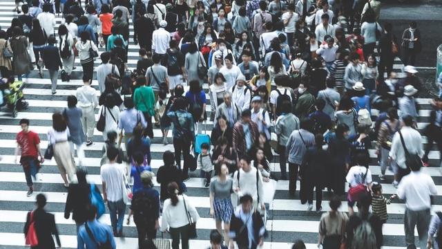 一鲸落万物生什么意思，鲸落万物生（高层会议释放信号）