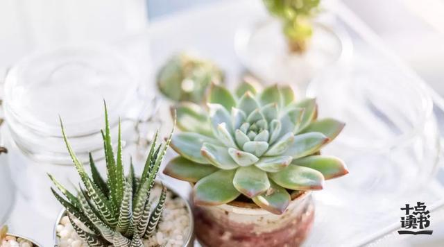 描写生气的句子，描写生气的词语（肺都气“炸”了：别再生闷气了）