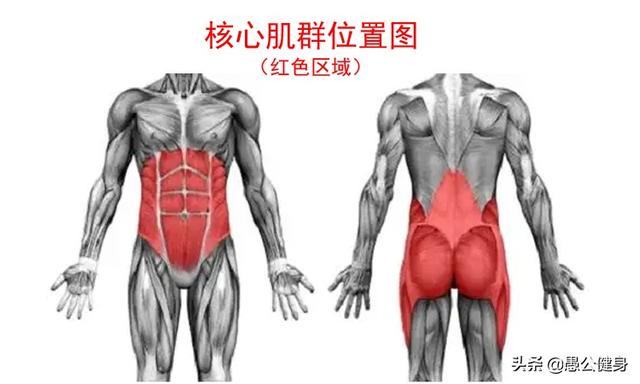 弹跳该怎么练，好的弹跳力是怎样来的