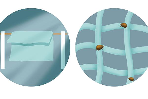 被螨虫咬的症状是什么，被螨虫叮咬的症状（被螨虫缠上的危害）