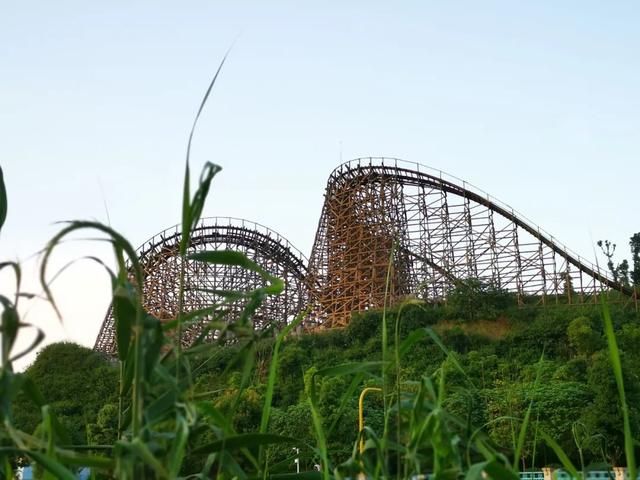 二八月乱穿衣的解释，二八月乱穿衣的解释怎么说（重庆特产“乱穿衣现象”）