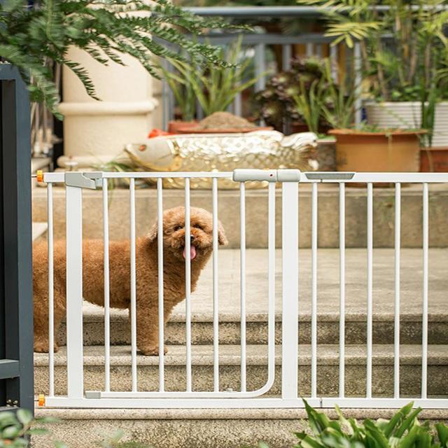 狗和人能生孩子吗，人跟狗会生出孩子吗（为啥狗狗会和母亲“近亲繁殖”）