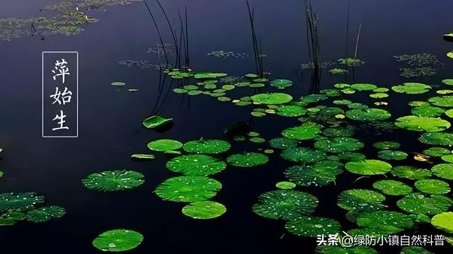 谷雨和雨水的区别，雨水和谷雨的区别（二十四节气之“谷雨”）