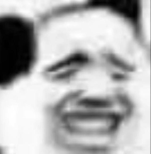 熊猫头，微信头像，熊猫头（表情包第六弹‖搞怪熊猫头）