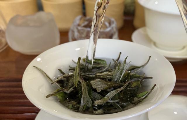 什么是白茶，什么是白茶 白茶的功效（你可能对白茶很陌生）