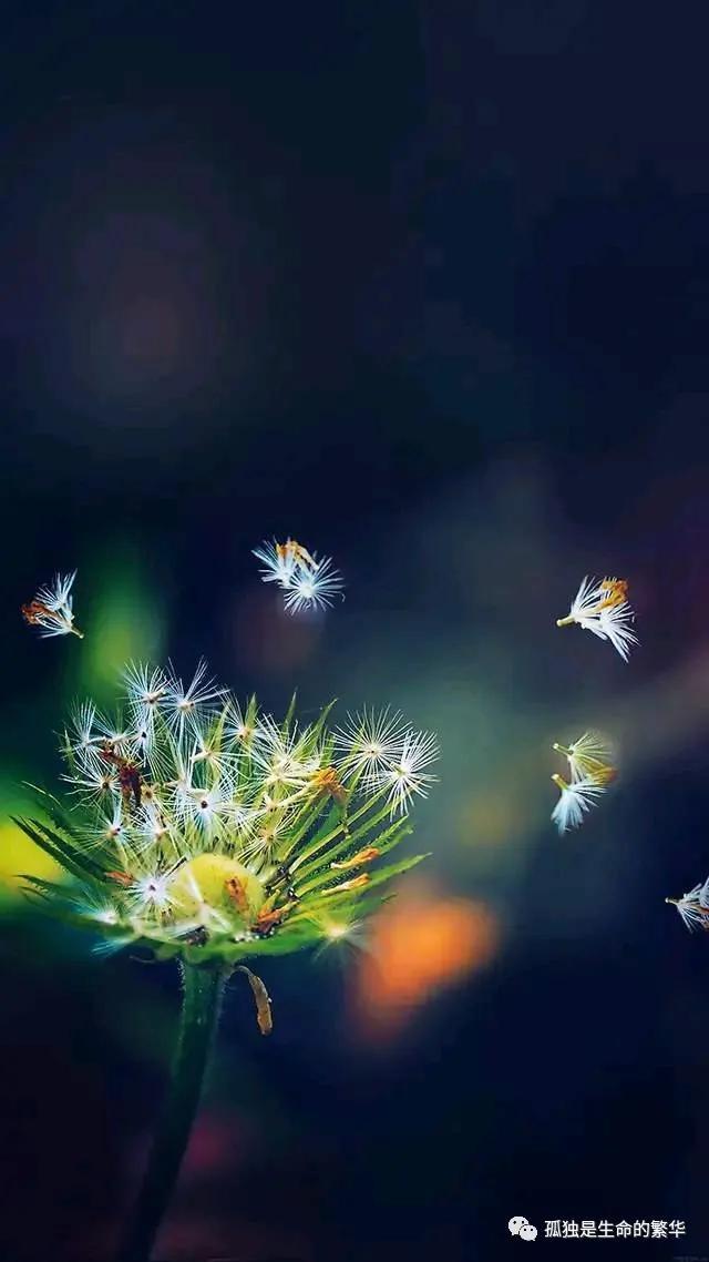 人活着到底为了什么，歌曲人活着到底为了什么（我们为什么活着）