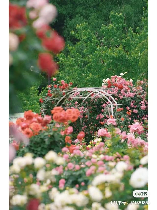 长沙生态动物园门票，长沙生态动物园门票多少暮云那个（赏花、露营、亲子、文博等）